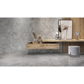SILVER POINT GREY MATT 59,8X59,8 GAT.I