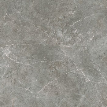 SILVER POINT GREY MATT 59,8X59,8 GAT.I