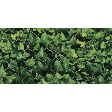 UNIWERSALNE INSERTO SZKLANE DREAM 30X60 G.I