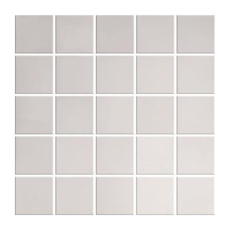 MOSAIC INOX GLOSSY 25X25 G.1