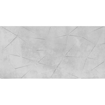 EGEN Chicago Light Grey 30X60 GAT.I