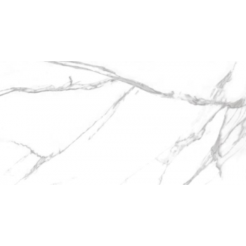 GEOTILES NILO BLANCO NATURAL REKT.60X120 G.1