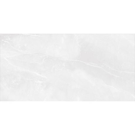 HARMONY BLANCO POŁYSK 25x60 GAT.I H2566