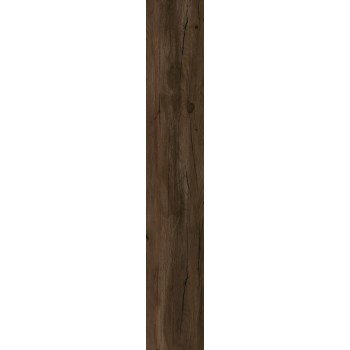 EPICENTR CANYON BROWN MATT 19,8X120 G.1