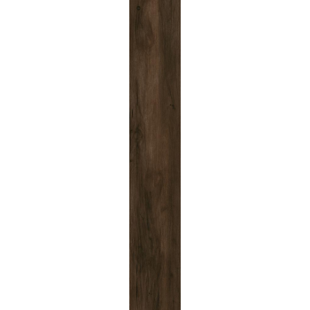 EPICENTR CANYON BROWN MATT 19,8X120 G.1