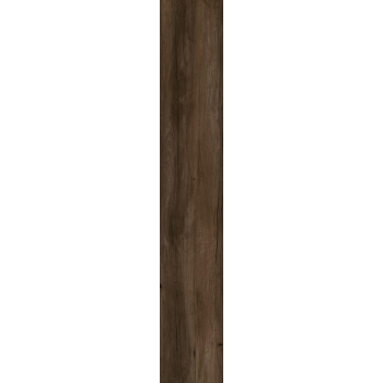 EPICENTR CANYON BROWN MATT 19,8X120 G.1