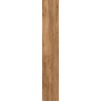 EPICENTR CANYON GOLD MATT 15X90 G.1