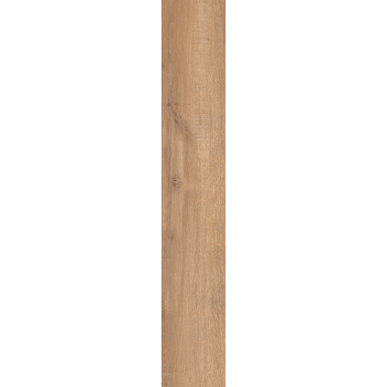 EPICENTR NEWCASTLE GOLD MATT 19,8X120 G.1