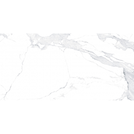 EPICENTR AVENZO SILVER SATIN 60X120 G.1