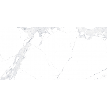 EPICENTR AVENZO SILVER SATIN 60X120 G.1