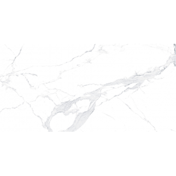 EPICENTR AVENZO SILVER SATIN 60X120 G.1