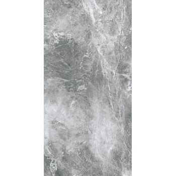 EPICENTR TESORA GREY MATT 60X120 G.1