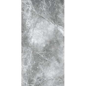 EPICENTR TESORA GREY MATT 60X120 G.1