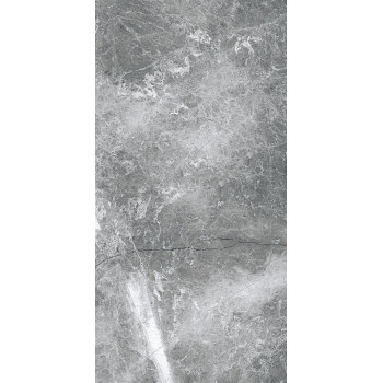 EPICENTR TESORA GREY MATT 60X120 G.1