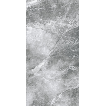 EPICENTR TESORA GREY MATT 60X120 G.1