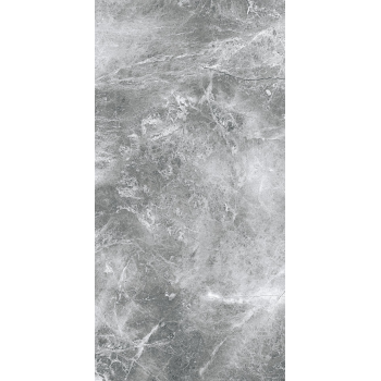 EPICENTR TESORA GREY MATT 60X120 G.1