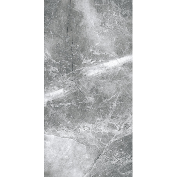 EPICENTR TESORA GREY MATT 60X120 G.1