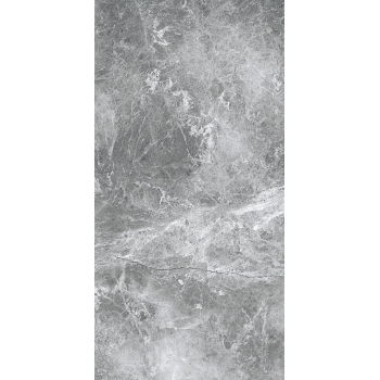 EPICENTR TESORA GREY MATT 60X120 G.1