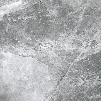 EPICENTR TESORA GREY MATT 60X60 G.1