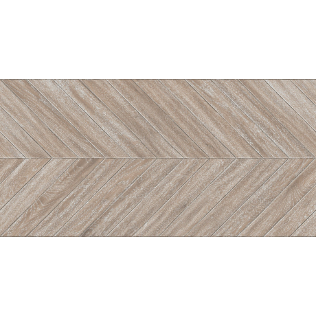 ESS.RLV.CHEVRON TERRA 60X120 G1