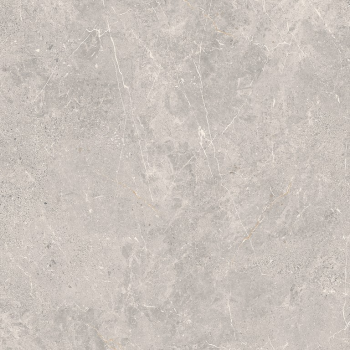 COLDY GREY MATT RECT 119,8x119,8 G1