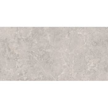 COLDY GREY MATT RECT 59,8x119,8 G.I