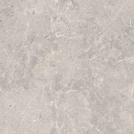 COLDY GREY MATT RECT 59,8x59,8 G1