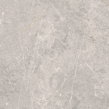 COLDY GREY MATT RECT 59,8x59,8 G1