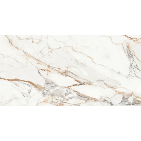 CALACATTA ARIATTA WHITE POLISHED RECT 60x120 G1