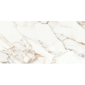 CALACATTA ARIATTA WHITE POLISHED RECT 60x120 G1