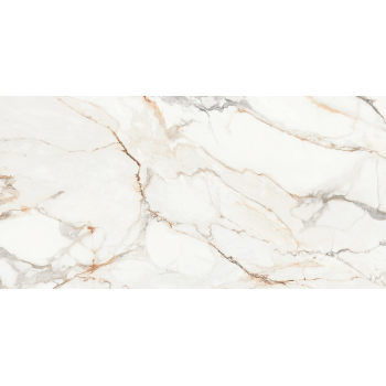 CALACATTA ARIATTA WHITE POLISHED RECT 60x120 G1