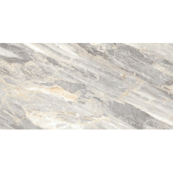 LAMBADO GREY POLISHED RECT 60x120 G1