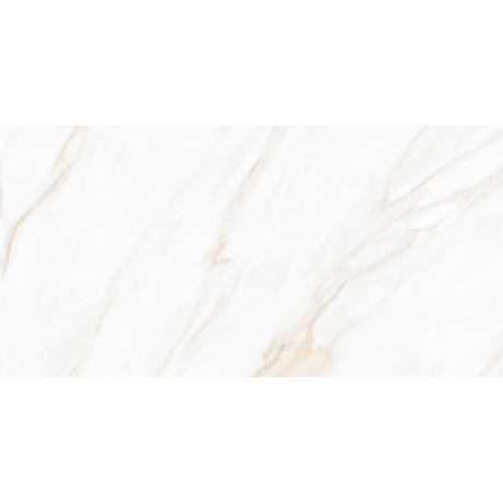 LARIVE BEIGE POLISHED RECT 60x120 G1