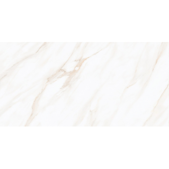 LARIVE BEIGE POLISHED RECT 60x120 G1