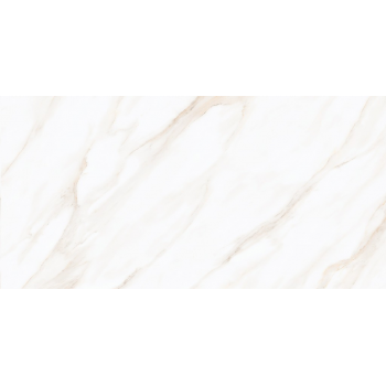 LARIVE BEIGE POLISHED RECT 60x120 G1