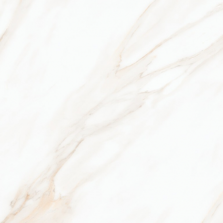 LARIVE BEIGE POLISHED RECT 60x60 G1