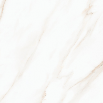 LARIVE BEIGE POLISHED RECT 60x60 G1