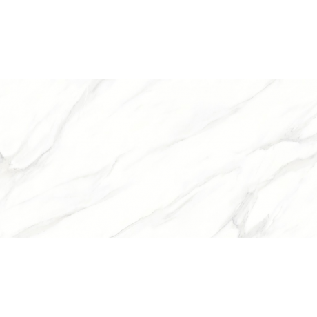 LARIVE WHITE POLISHED RECT 60x120 G1