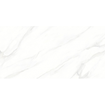 LARIVE WHITE POLISHED RECT 60x120 G1