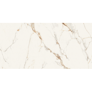 AVERSA STATUARIO WHITE POLISHED RECT 60x120 G1