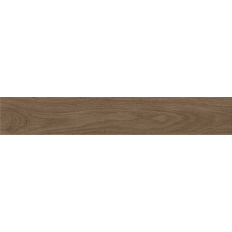 GPT1182 BROWN MATT 9,8X59,8 G1