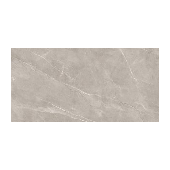 VETICANO GREY POLISHED RECT...