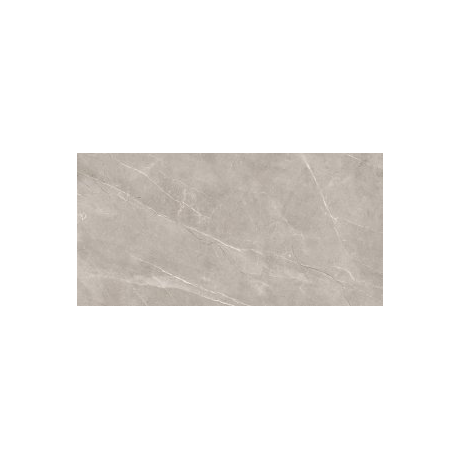 VETICANO GREY POLISHED RECT 60X120 G1