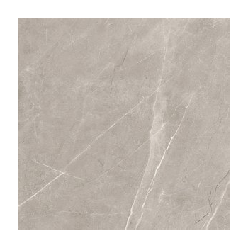 VETICANO GREY POLISHED RECT 60X60 G1