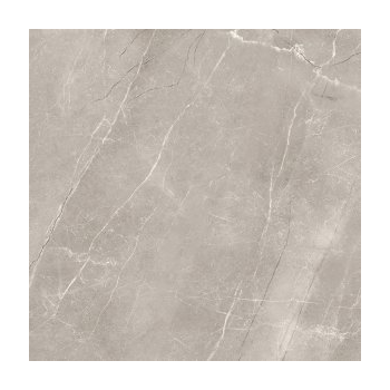VETICANO GREY POLISHED RECT 60X60 G1