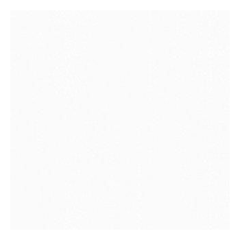 MONOLOOK WHITE MATT RECT...