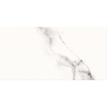 SPECIAL MARBLE WHITE GLOSSY 29,8X59,8 G1