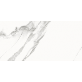 SPECIAL MARBLE WHITE GLOSSY 29,8X59,8 G1
