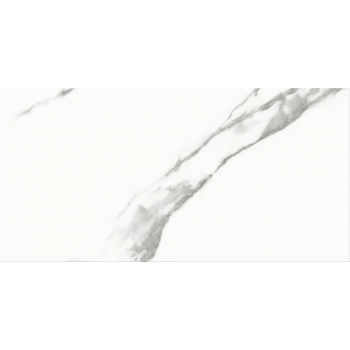 SPECIAL MARBLE WHITE GLOSSY 29,8X59,8 G1