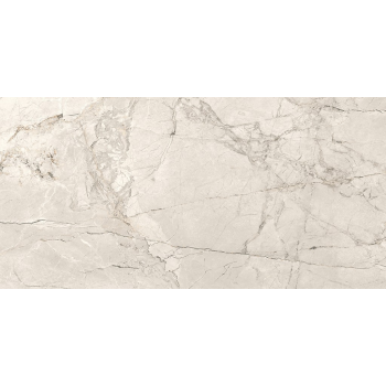 SILVER ROOT LIGHT GREY MATT RECT 59,8X119,8 G1